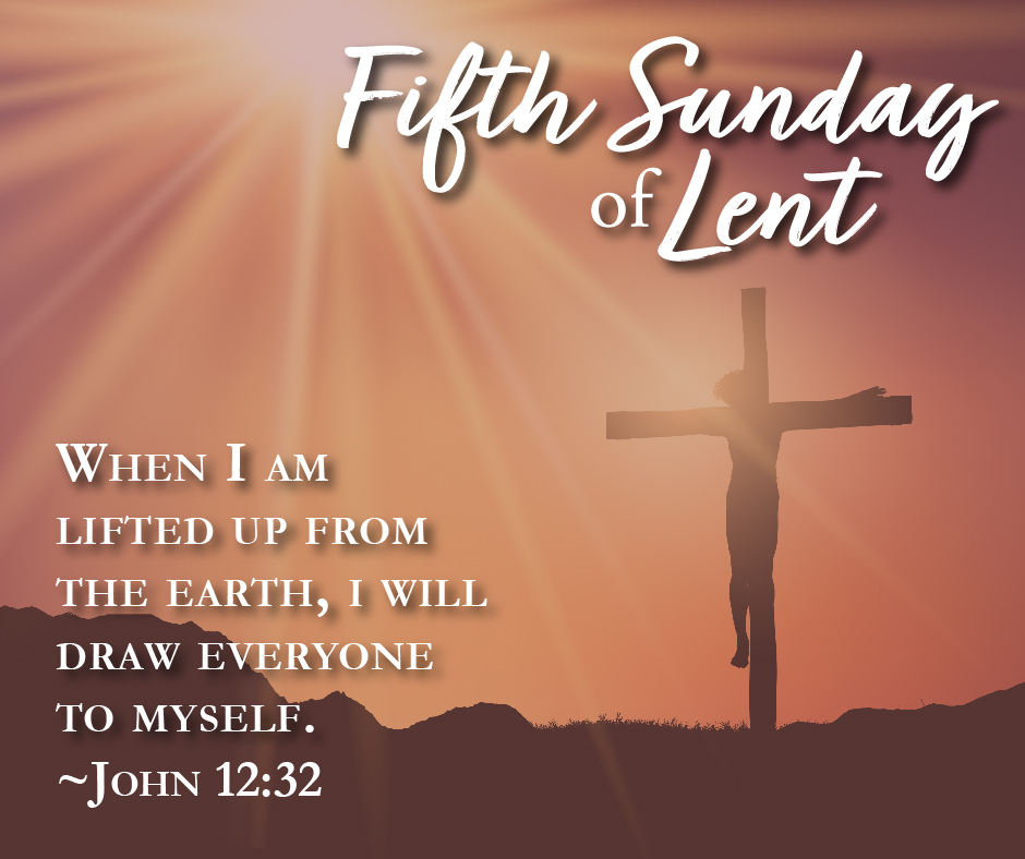 5th sunday of lent color