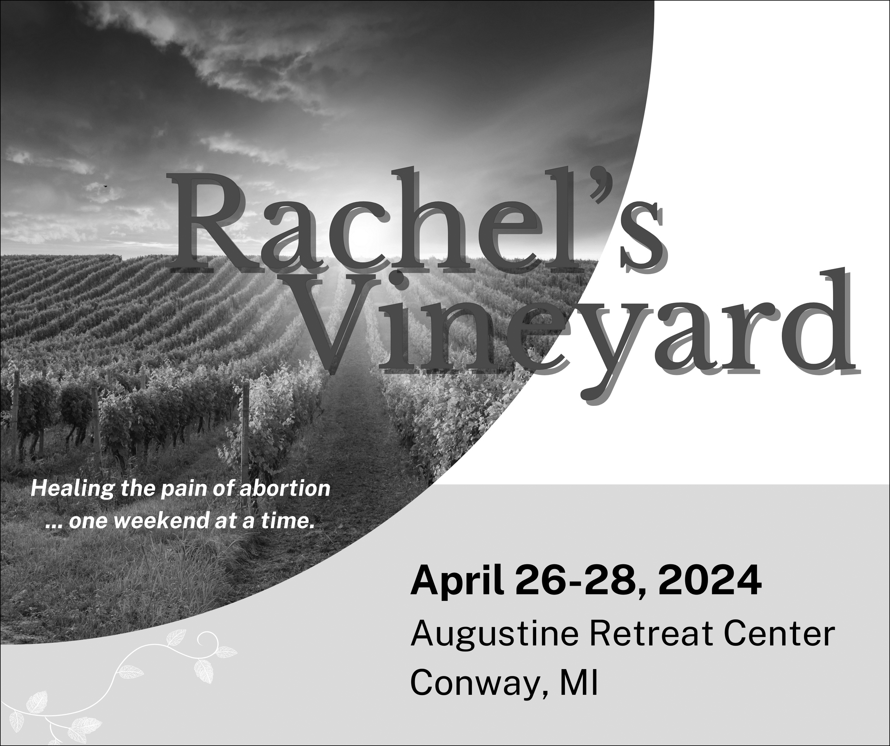 rachel's vineyard BW