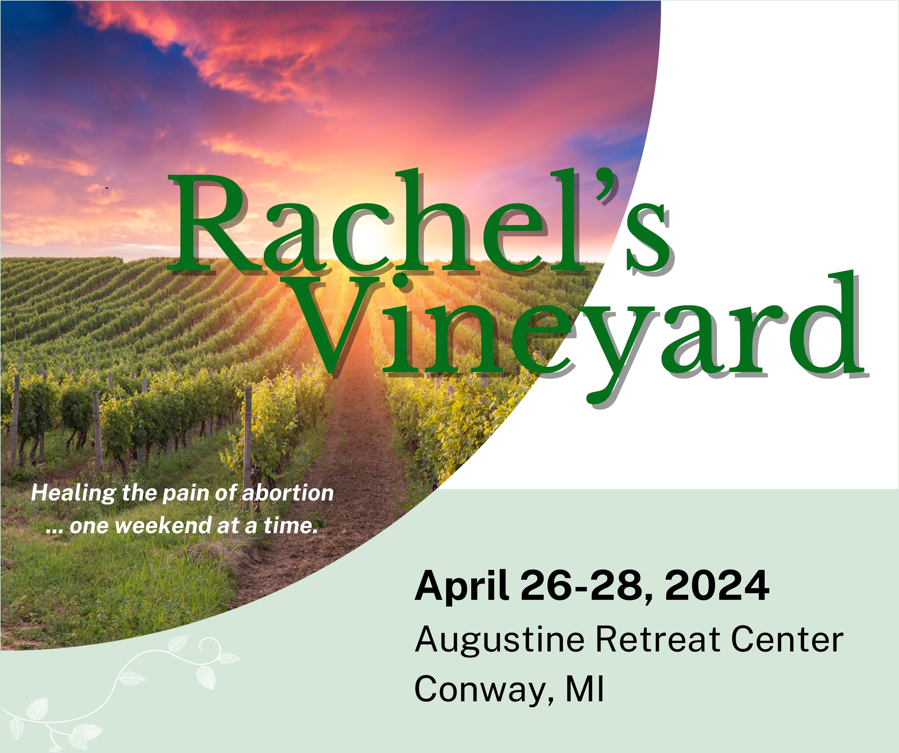 rachel's vineyard color