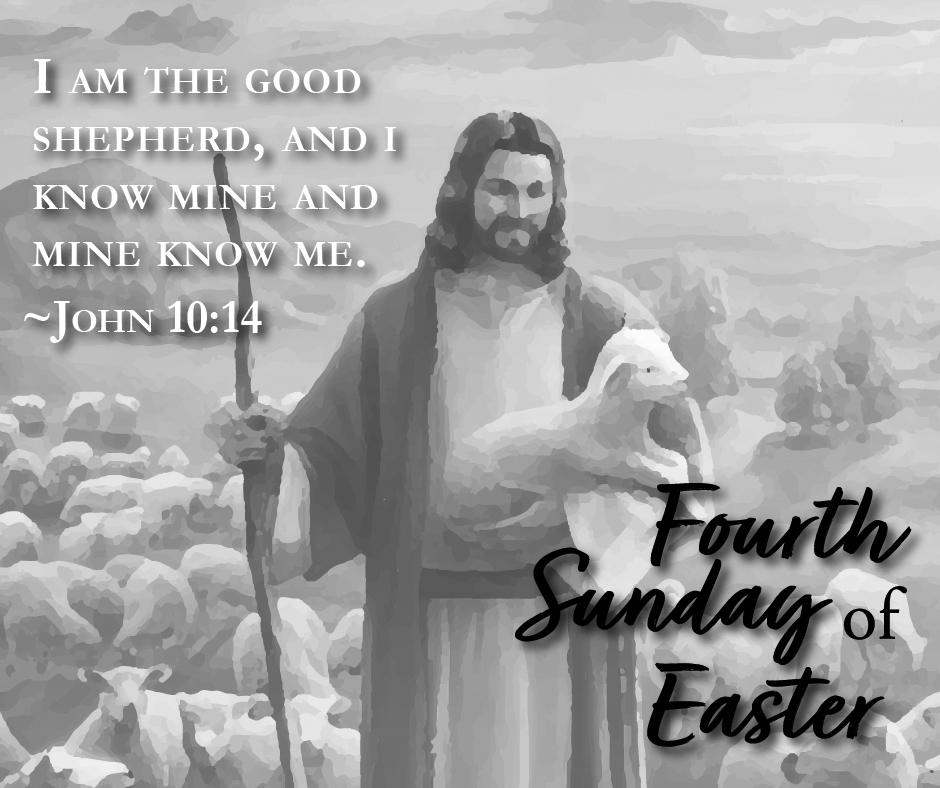 4th sunday of easter BW