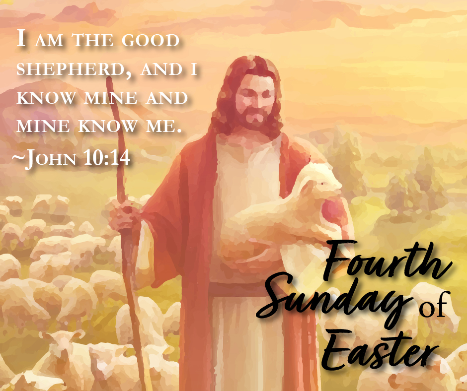 4th sunday of easter color