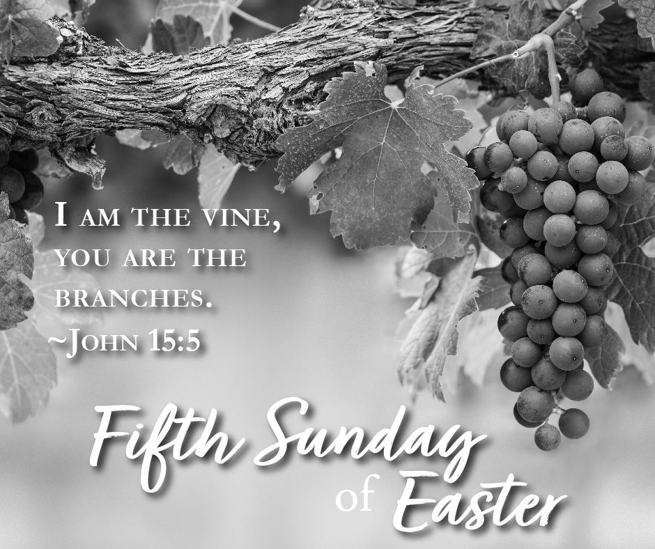5th sunday of easter BW