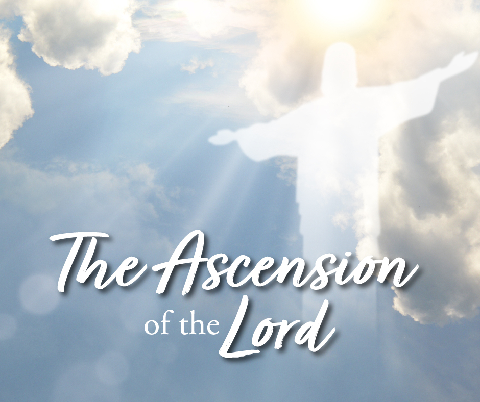 ascension of the lord color