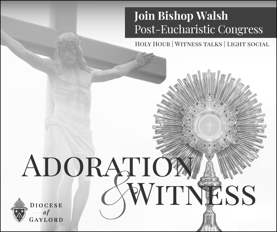 adoration and witness ad BW