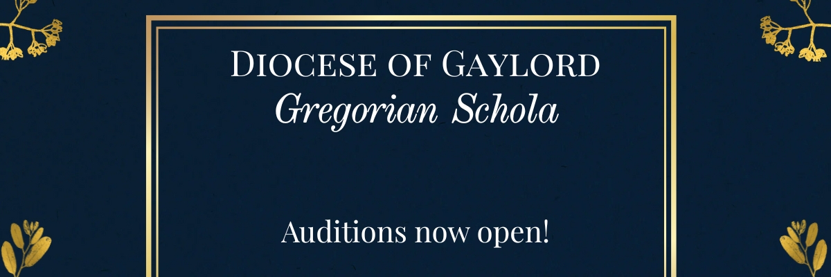 Schola auditions
