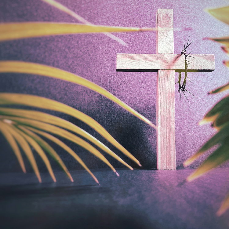 Purple Lent 2.5 x 2.5 square- color