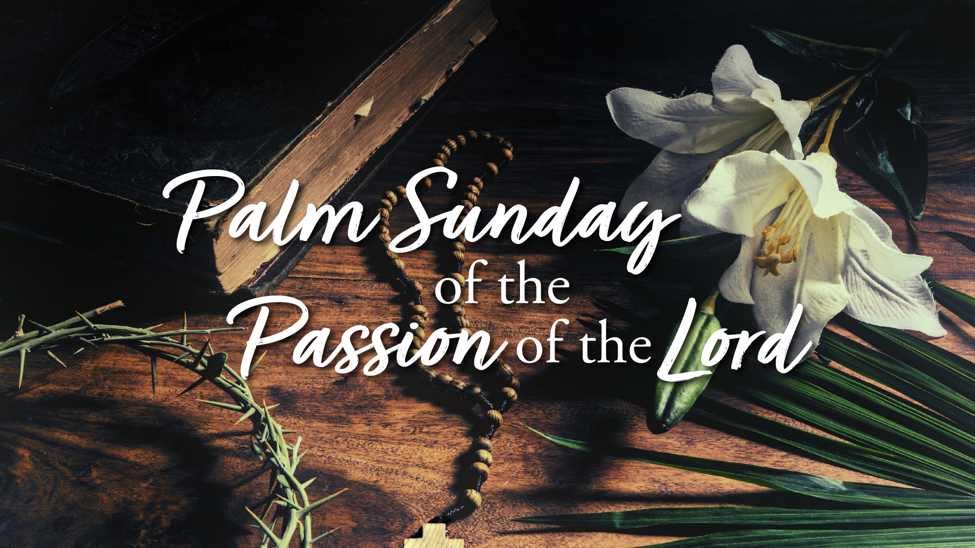 palm sunday 1920x1080