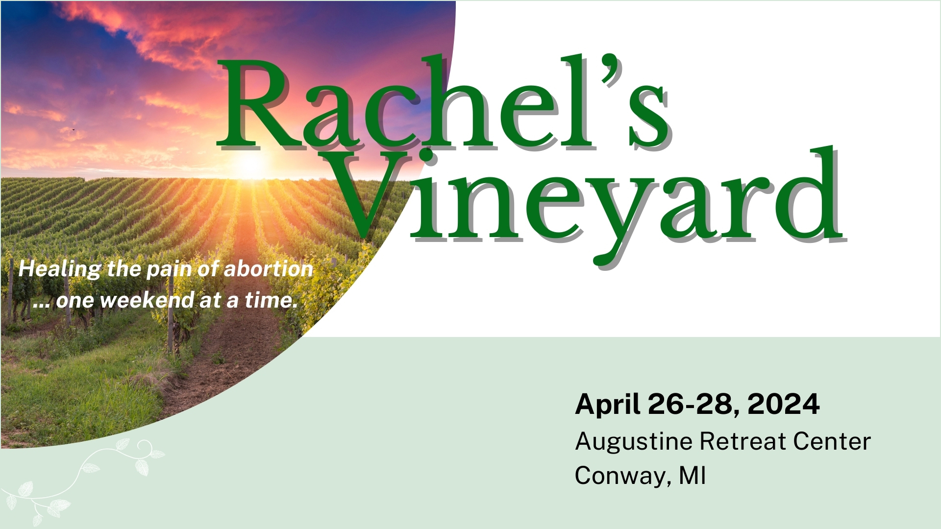 rachel's vineyard 1920x1080 