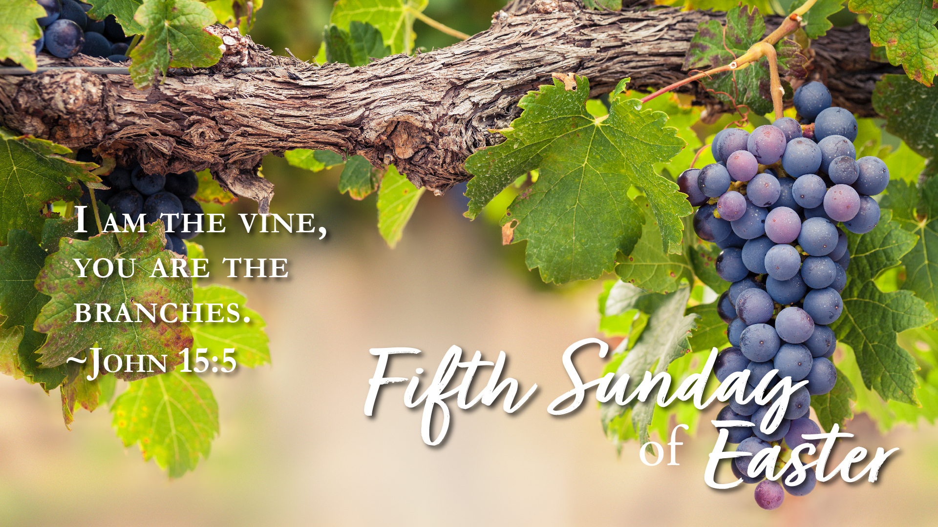 5th sunday of easter 1920x1080