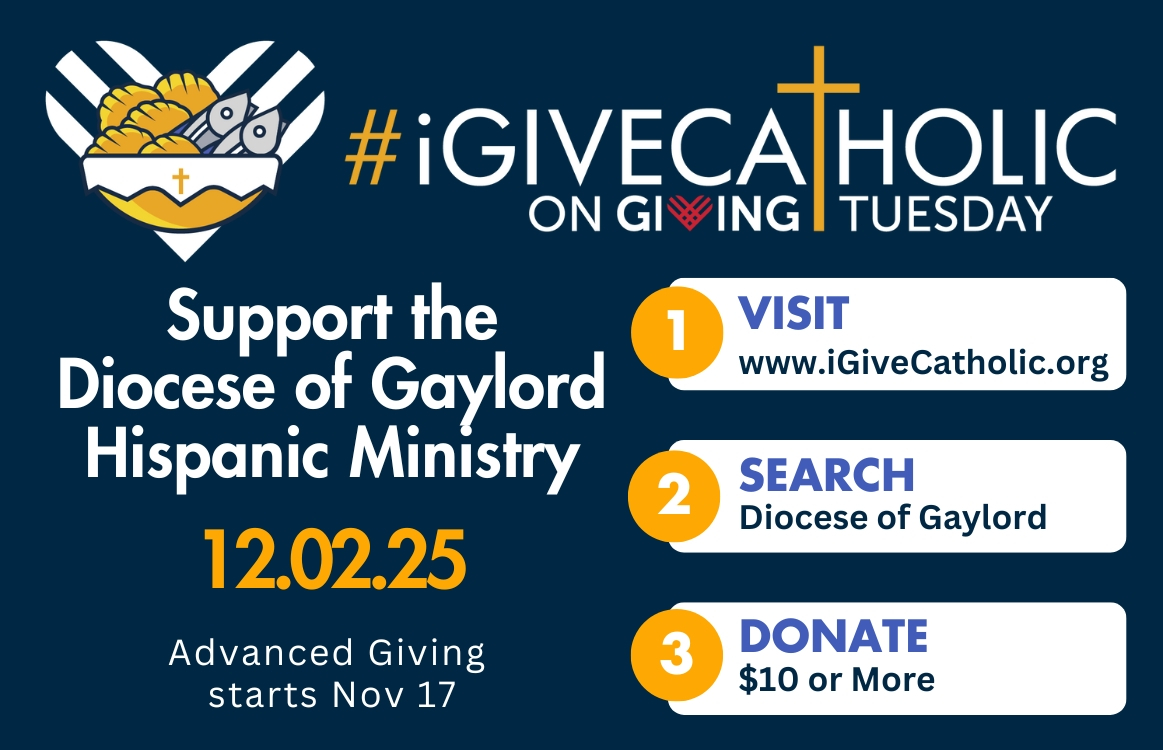 igivecatholic fundraiser announcement
