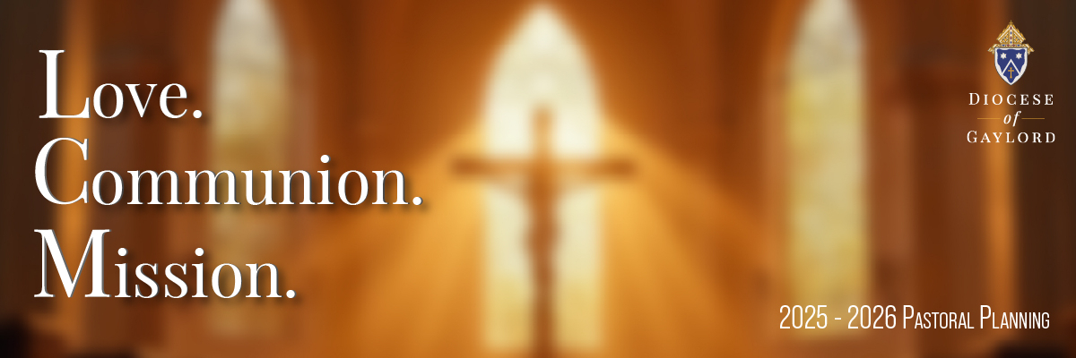 pastoral planning header