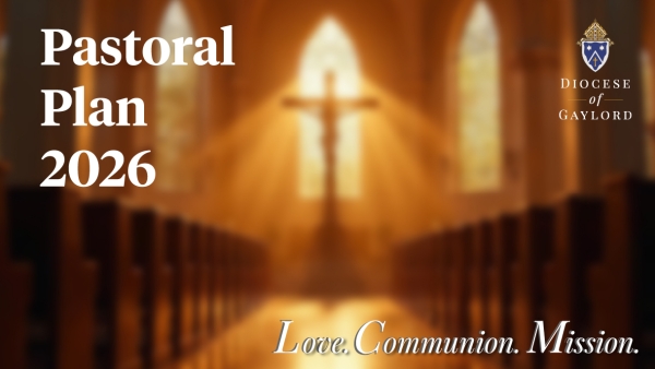 Pastoral Plan 2026 released